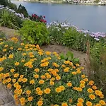 Casa Oliveiras, O Douro No Seu Esplendor! Cinfães