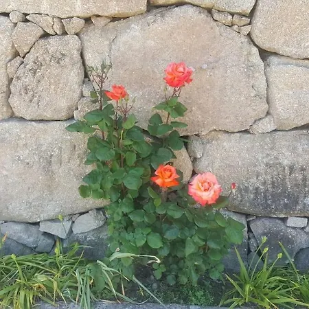 Casa Oliveiras, O Douro No Seu Esplendor! Cinfães