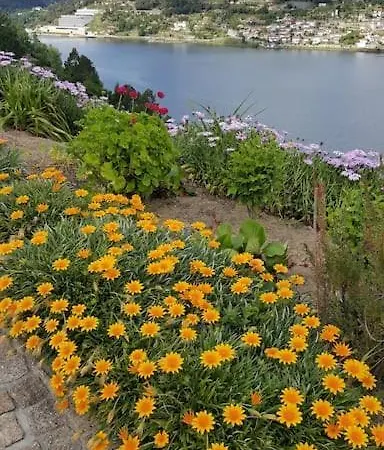 Casa Oliveiras, O Douro No Seu Esplendor! سينفايس