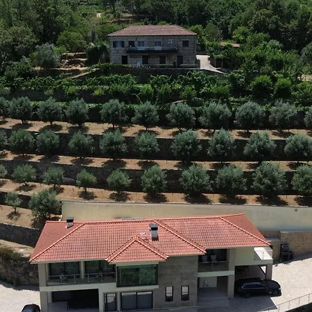 Casa Oliveiras, O Douro No Seu Esplendor! Ferienhaus Cinfães