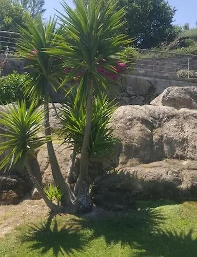 Vakantiehuis Casa Oliveiras, O Douro No Seu Esplendor!