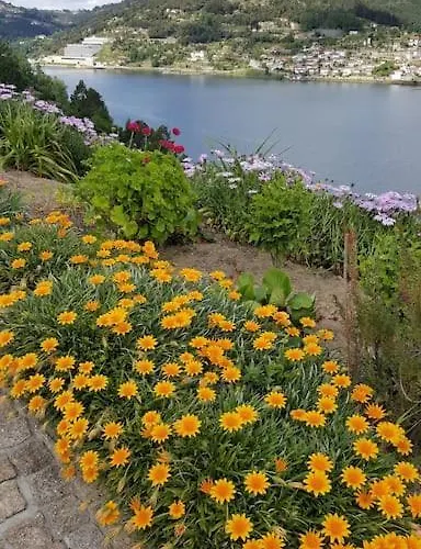 Casa Oliveiras, O Douro No Seu Esplendor! Cinfães