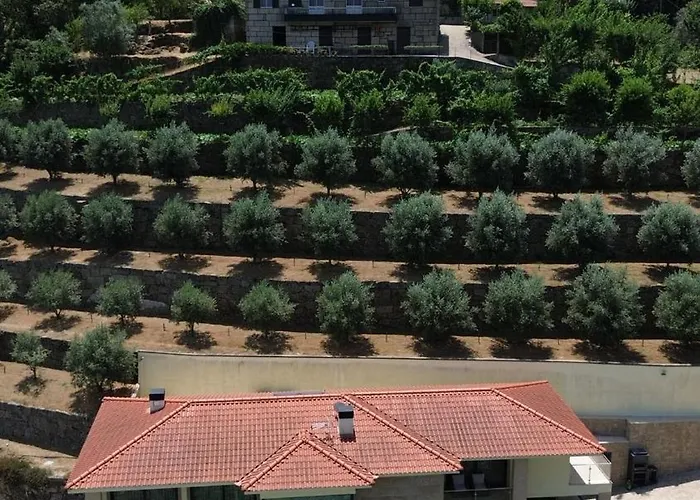 Casa Oliveiras, O Douro No Seu Esplendor! Ferienhaus Cinfães